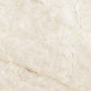 Плитка Ribesalbes  30x30 Керамогранит Marbles Taj Mahal