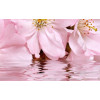 Плитка Belleza 40x25 Букет Декоративный массив розовый 07-00-5-09-01-41-665 глянцевая
