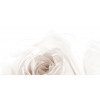 Плитка Belleza 50x25 Нежность декор бежевый А 04-01-1-10-05-11-350-1 глянцевая