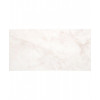 Плитка Belleza 50x25 Нежность настенная светло-бежевый 00-00-5-10-00-11-350 глянцевая