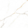 Плитка Belleza 60x60 Austrain керамогранит NATURAL GLOSSY глянцевая Плитка Belleza 60x60 Austrain керамогранит NATURAL GLOSSY глянцевая