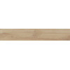Плитка Belleza 120x20 Cedralis керамогранит NATURAL MATT PUNCH