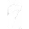 Плитка Belleza 120x60 Orlando керамогранит BIANCO CARVING