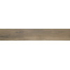 Керамогранит Ape Oregon Roble Rect матовая 120x20