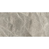Плитка APE керамогранит Silver Grey Pol. полированная 120x60
