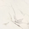 Плитка APE керамогранит 60x60 Mandalay Rect White матовая