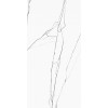 Керамогранит Realistik Chance Grey carving 60x120