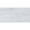 Керамогранит Realistik Lake Wood White Sugar 60x120
