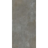 Керамогранит Realistik Гронза серый матовый 60x120 (1,44)