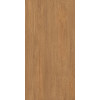 Керамогранит Realistik Альдерис коричневый матовый 60x120 (1,44)