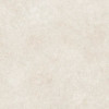 Плитка ECOCERAMICA универсальная (напольная и настенная) 60x60 Керамогранит CELLER Blanco Mate