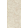 Керамогранит 120x60 9мм Natural Resine Decoro Ventaglio Oro матовая La Fenice