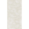 Керамогранит 120x60 9мм Natural Resine Decoro Ventaglio Platino матовая La Fenice