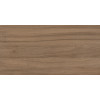 Плитка Gracia Ceramica 60x30 Волнат кор низ 01
