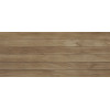 Плитка Gracia Ceramica 60x25 Quarta настенная brown коричневый 04 матовая