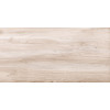 Плитка настенная New Trend 60x30 Wood WT36PLY08 Play Глянцевая