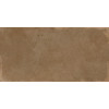 Плитка настенная New Trend 60x30 Marron WT36ELR21 Elbrus Матовая