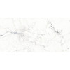 Плитка Fanal напольная керамогранит виндзор белый глянцевый / 120x60 Windsor white SShine 33 лаппатированная белый
