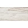 Плитка LB-Ceramics 60x30 Блисс керамогранит 6260-0075 декор полосы матовая, структурированная