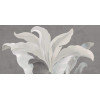 Плитка LB-Ceramics 60x30 Янссон декор 1 серый 7360-0016 матовая