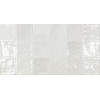 Плитка Ecoceramic Cool White 31,6x60