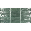 Плитка Ecoceramic Pool Green 31,6x60