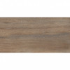 Керамогранит Foresta Amazon Wood Natural Matt матовая 120x60 8мм Staro