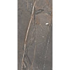 Керамогранит 120x60 10мм Amaranto Brown Rett матовая Cercom
