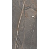 Керамогранит 120x60 10мм Amaranto Brown Rett матовая Cercom