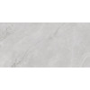 Плитка Infinity Ceramica универсальная (напольная и настенная) 120x60 Керамогранит ASTONIA Silver Glossy Silver Line
