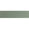 Плитка DNA Match Sage Gloss 6,25х25