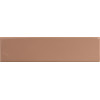 Плитка DNA Match Tan Matt 6,25х25