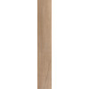 Керамогранит 120x20 Antique clay fondi nat.rettificat gl матовая бежевый Cerdomus