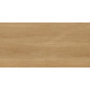 Плитка Protiles керамогранит 120x60 Albero Beige матовая