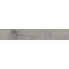 Керамогранит Ingalls Gris 60x10 матовая серый Prissmacer