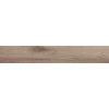 Керамогранит 120x20 9мм Коричневый Мат. 7930138703708 Абрикос/Apricot структурная Eurotile Ind