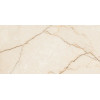Керамогранит Arcadia Rifei Etna Brown FP полированная бежевый 60x120