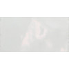 Плитка Cevica Plus White Zinc глянцевая 15x8