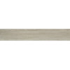 Плитка Alaplana керамогранит Vilema Taupe матовая 120x23