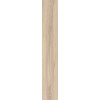 Плитка Ocean Ceramic INDIA NEW керамогранит 120x20 Eternity Beige India матовая