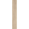 Плитка Ocean Ceramic INDIA NEW керамогранит 120x20 Sweden Honey India матовая