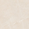 Плитка Ocean Ceramic INDIA NEW керамогранит 60x60 Lizzard Ivory India sugar