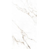 Плитка Ocean Ceramic INDIA NEW керамогранит 160x80 Statuario Castork India glossy