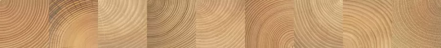 Плитка Керамин 75x8 Шиен бордюр 6Д темно-бежевый матовая