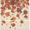 Декор Remate Quintessenza Dia MPL-043994 60x20 глянцевая APE Ceramica