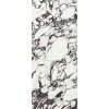 Керамогранит Ape Ceramica Medicea M. Medicea Marble Pol Rect полированная мрамор белый 278x120