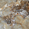Плитка ITC универсальная (напольная и настенная) 60x60 Керамогранит AGYARO Verde High Glossy