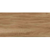 Плитка ITC India универсальная (напольная и настенная) 120x60 Керамогранит MAPLE Wood Sugar