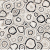 Декор 120x120 9мм Sensi Gems Multiquartz Lux полированная Abk