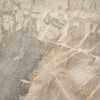 Керамогранит 50x50 10мм Fossil Beige Nat матовая Abk